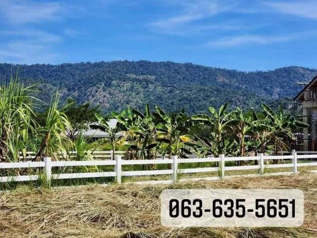 ที่ดิน ที่ดิน