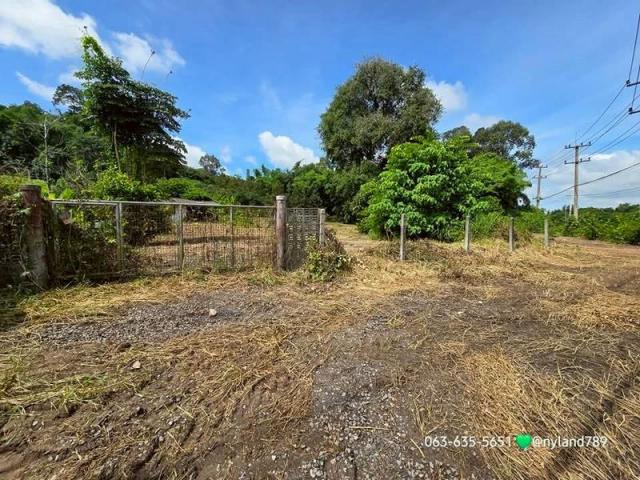 ���Թ����˹�� ���ͧ��ù�¡