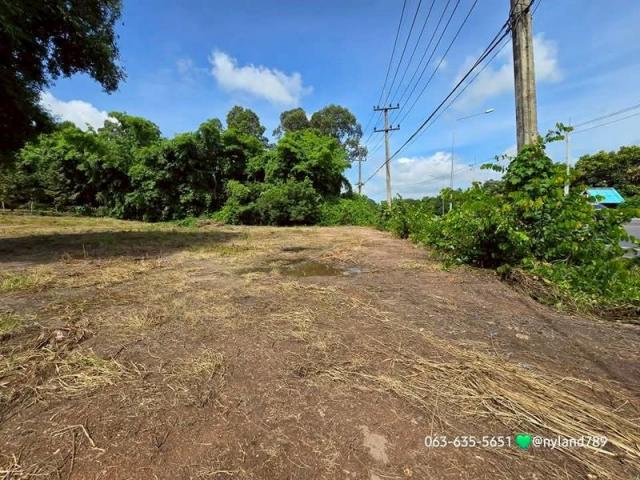 ���Թ�ѹ˹�ҷ���˹�� ���ͧ��ù�¡