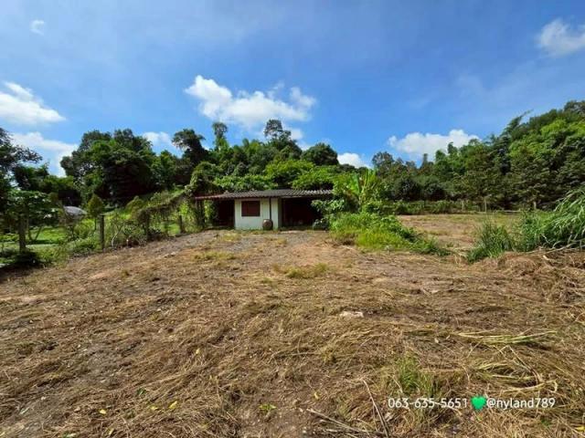 ���Թ�Դ��� ���ͧ��ù�¡