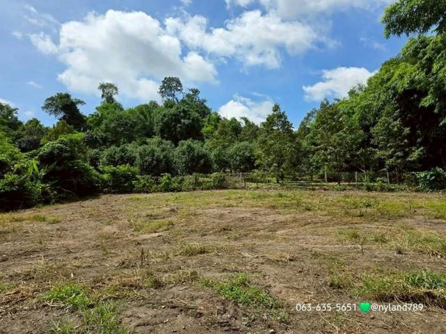 ���Թ�Դ�� ���ͧ��ù�¡