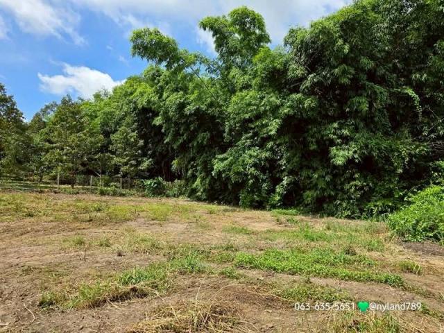 ���Թ˹�ҵԴ��� ���ͧ��ù�¡