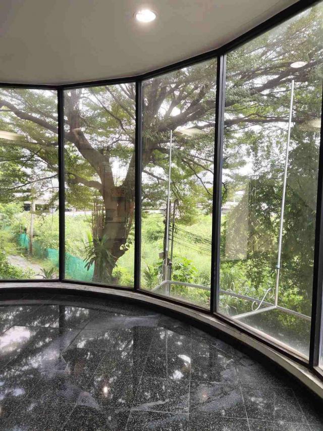 ⡴ѧ������ ���ͧ������չ������