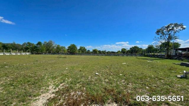 ���Թ¡�ŧ ��ҹ��