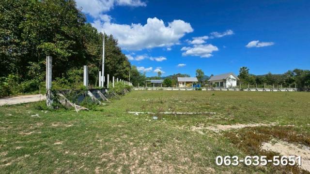 ���Թ�Դ��� ��ҹ��