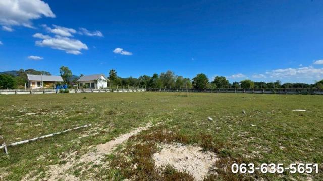 ���Թ˹�ҡ��ҧ ��ҹ��