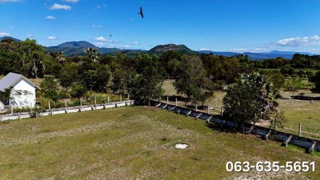 ���Թ˹�ҡ��ҧ�Դ��� ��ҹ��