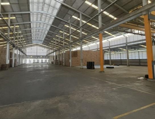 �ç�ҹ�ç�ҹ⡴ѧ �ҧ���