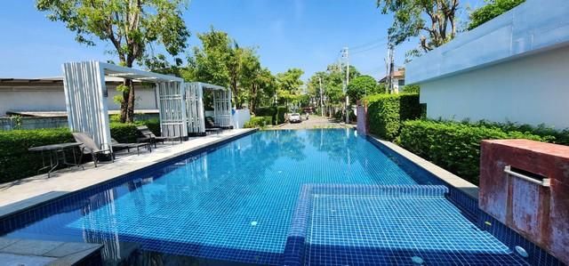 ��º�ҹ �ҧ�˭� �������