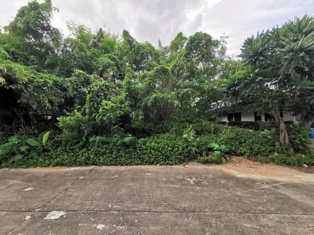 ที่ดิน ที่ดิน