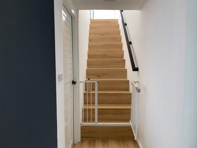 ��º�ҹ ����� ��§����