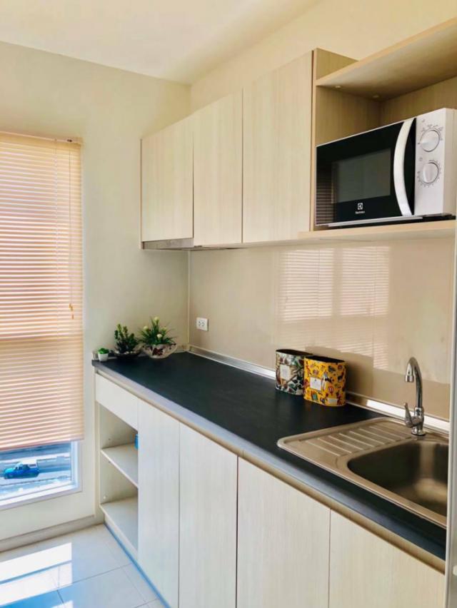 �͹��������� ���ͧ�������