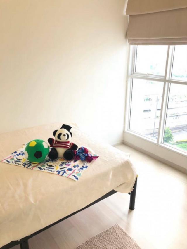 �͹����ö俿����Թ ���ͧ�������