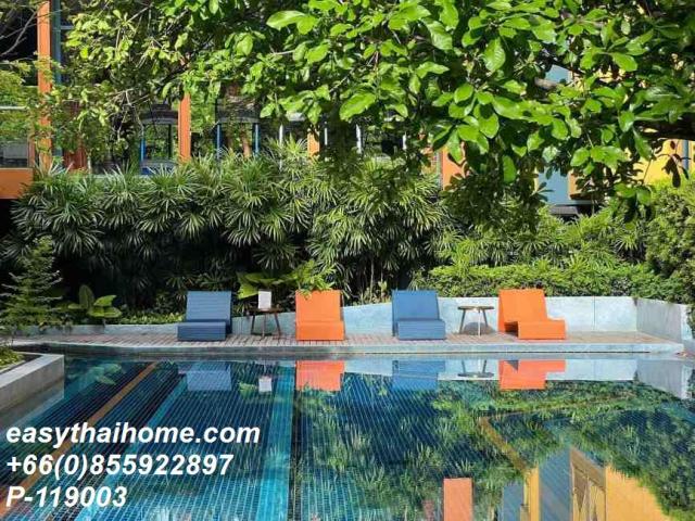 ��¤͹� ��ͧ�¡�ا෾