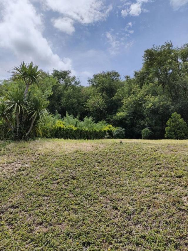 ที่ดิน ที่ดิน