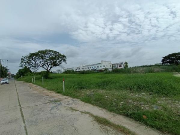 ที่ดิน ที่ดิน