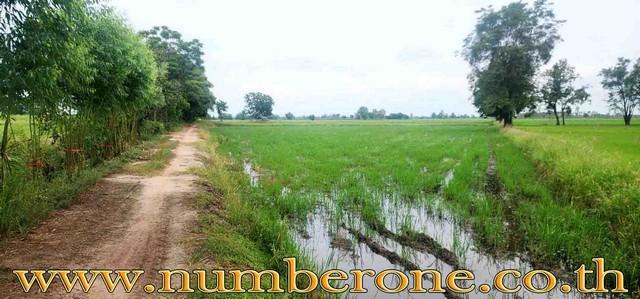 ที่ดิน ที่ดิน