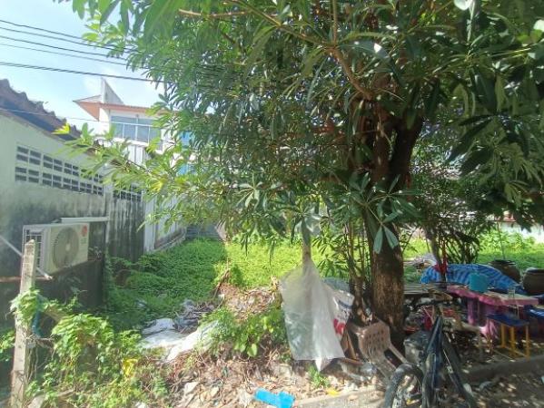 ที่ดิน ที่ดิน