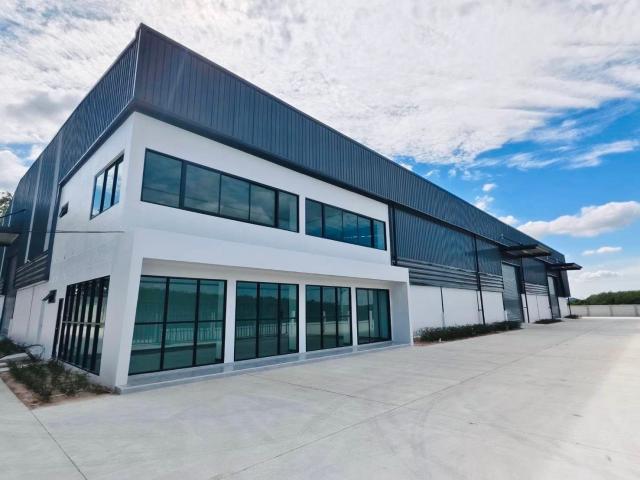 ����ç�ҹ �ҧ��Ƿͧ�������