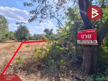 ���Թ���ͧ������� �������