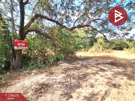 ���Թ������� �������