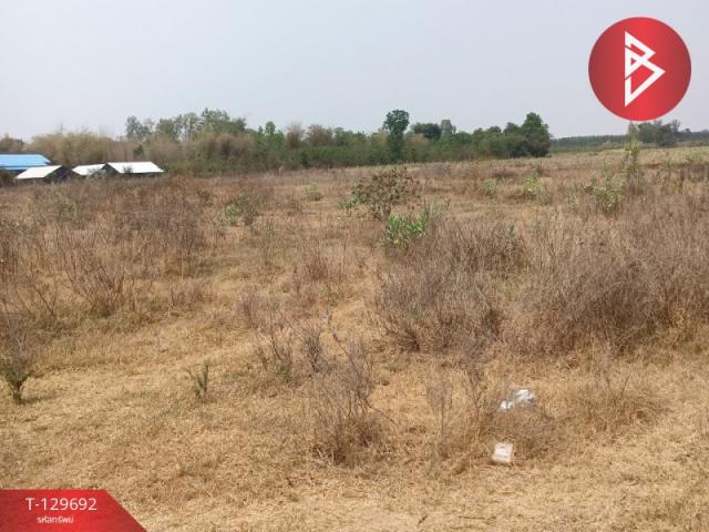 ���Թ  �Ҫ����