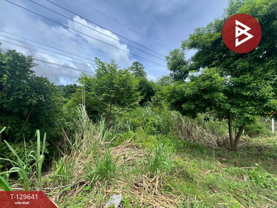 ที่ดิน ที่ดิน