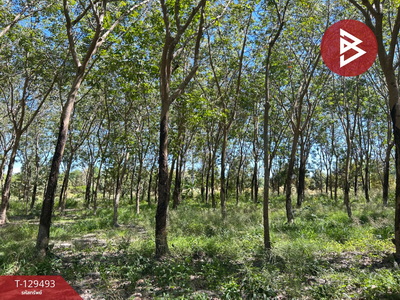 ที่ดิน ที่ดิน