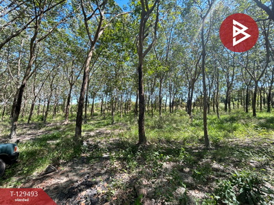 ��·��Թ ���ͧ���ͧ���ͧ