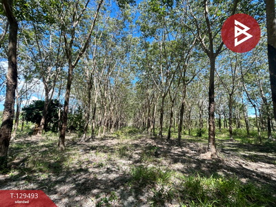 ��·��Թ ���ͧ���ͧ���ͧ