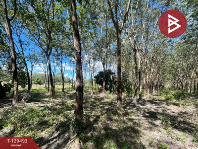 ��·��Թ ���ͧ���ͧ ���ͧ