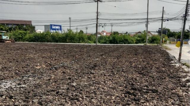 ���Թ������ �ҧ�˭� �������