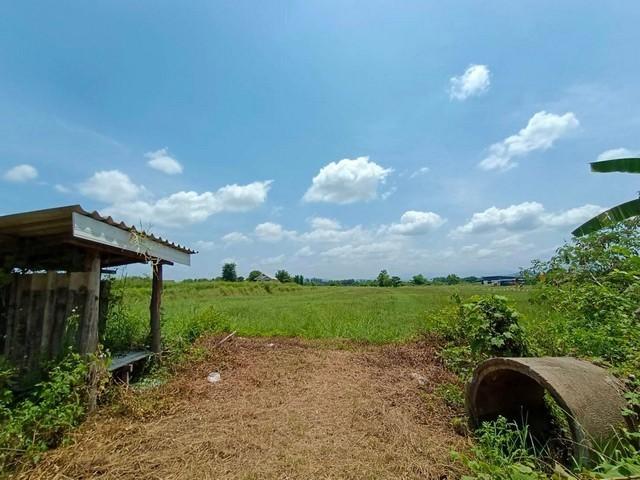 �ѹ��ᾧ �� tayapornaik1