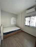 �����Һ�ҹ �ҧ��� ��طû�ҡ��