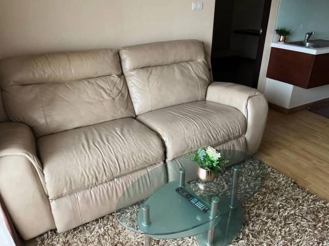 ��¤͹� �ҧ�л�