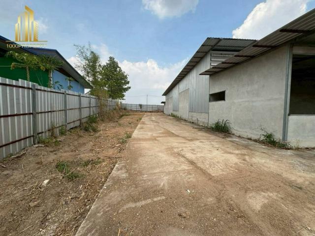 ⡴ѧ �����ҹ�