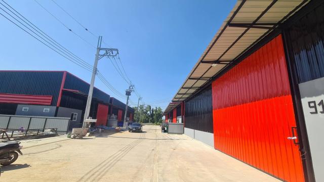 ⡴ѧ �����ҹ�