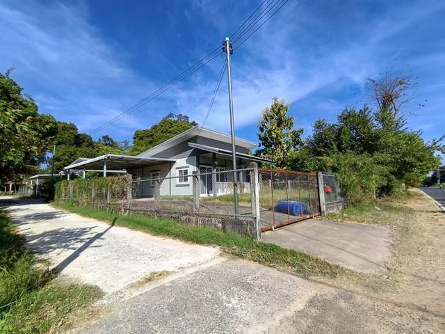 ��º�ҹ ������ͧ���� �غ��Ҫ�ҹ�