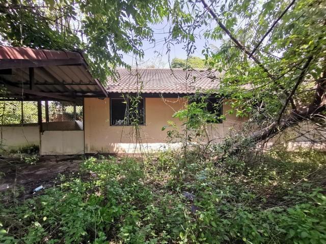 ��º�ҹ ������ͧ���� �غ��Ҫ�ҹ�