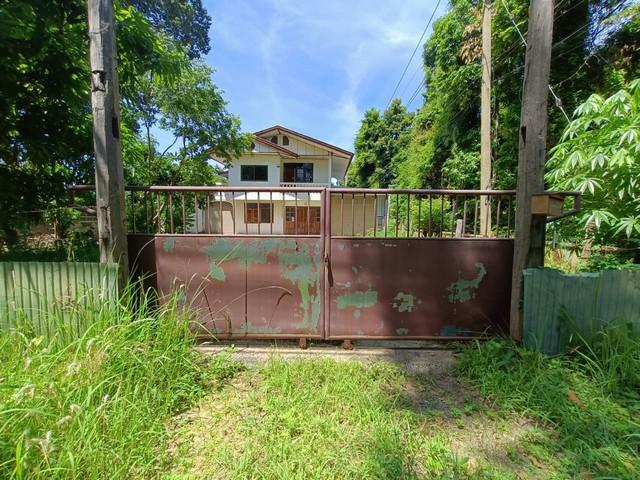 ��ҹ ������ʸ�