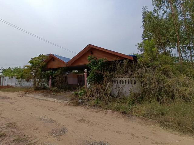 ��º�ҹ ��ҹ��͹��