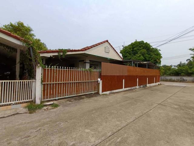 ��º�ҹ �Ⱥ�ŵӺ����ͧ�Ţ͹��