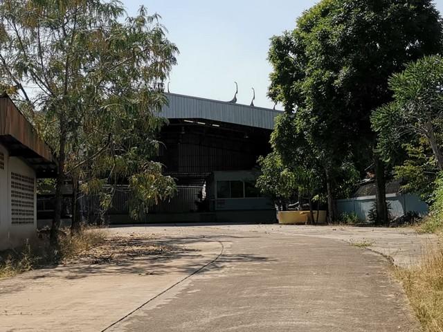 ��º�ҹ ���ᾢ͹��