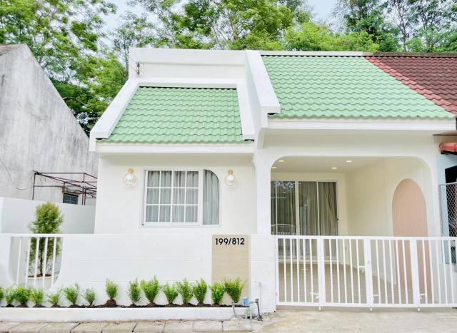 ��ǹ�������