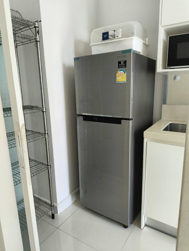 �͹������� �ҧ��