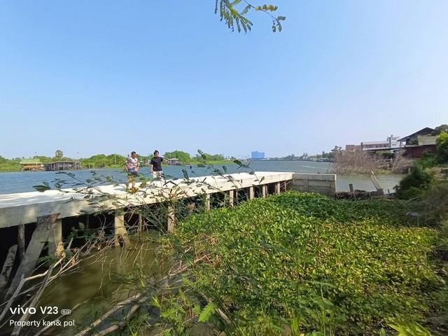 ������� �� kantapon4