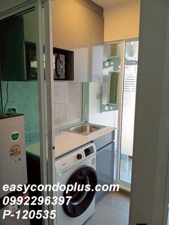 �͹������� �ҧ��