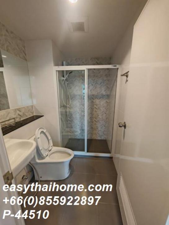 �͹������� �ҧ��