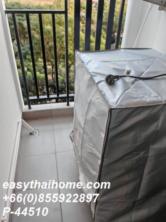 �͹������� �ҧ��