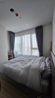 �͹������� ��بѡ�